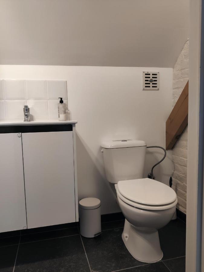 De Lucarne Villa Zottegem Eksteriør billede